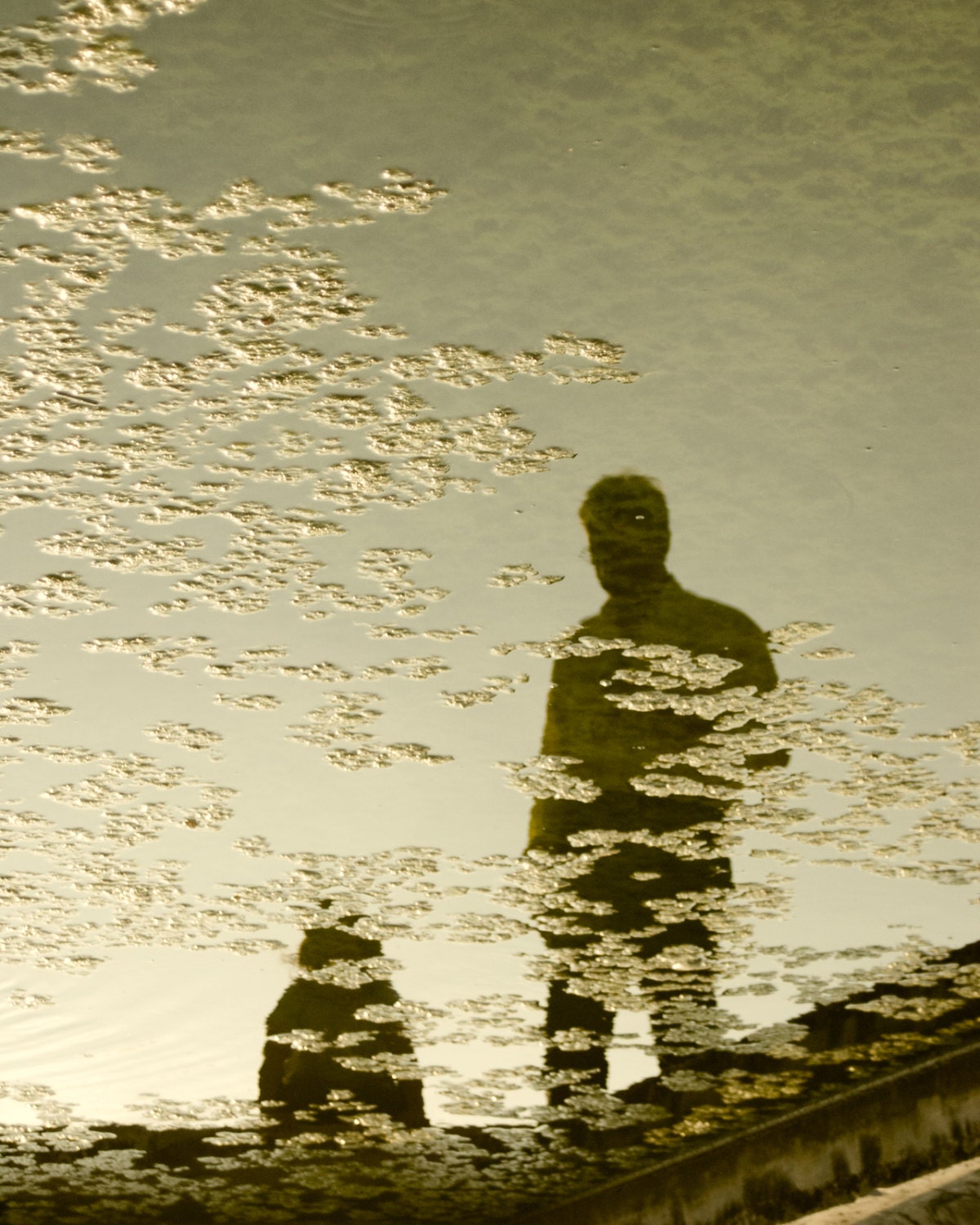 Water Figures - 8x10 Print - silhouette shadow water europe photograph