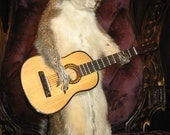 Taxidermy Acoustic Guitar Playing Squirrel total shredder