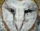 Barn Owl Fine Art Print from Original Acrylic Painting