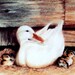 Signed Art Print Framed Wall Décor Ducks Ducklings Nest Rustic Barn Vintage 1984
