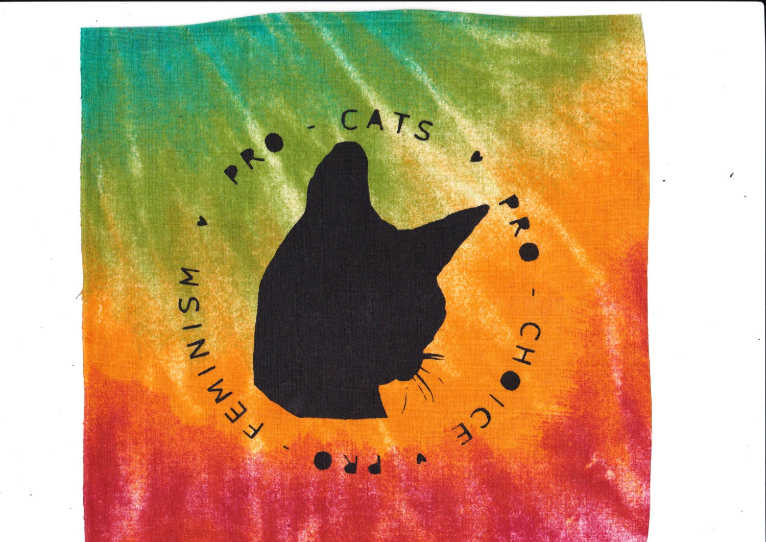 PRO Choice Feminism Cats Patch