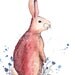 Bunny in the bluebells Watercolour Art Drawing 8x10" Print (unframed)