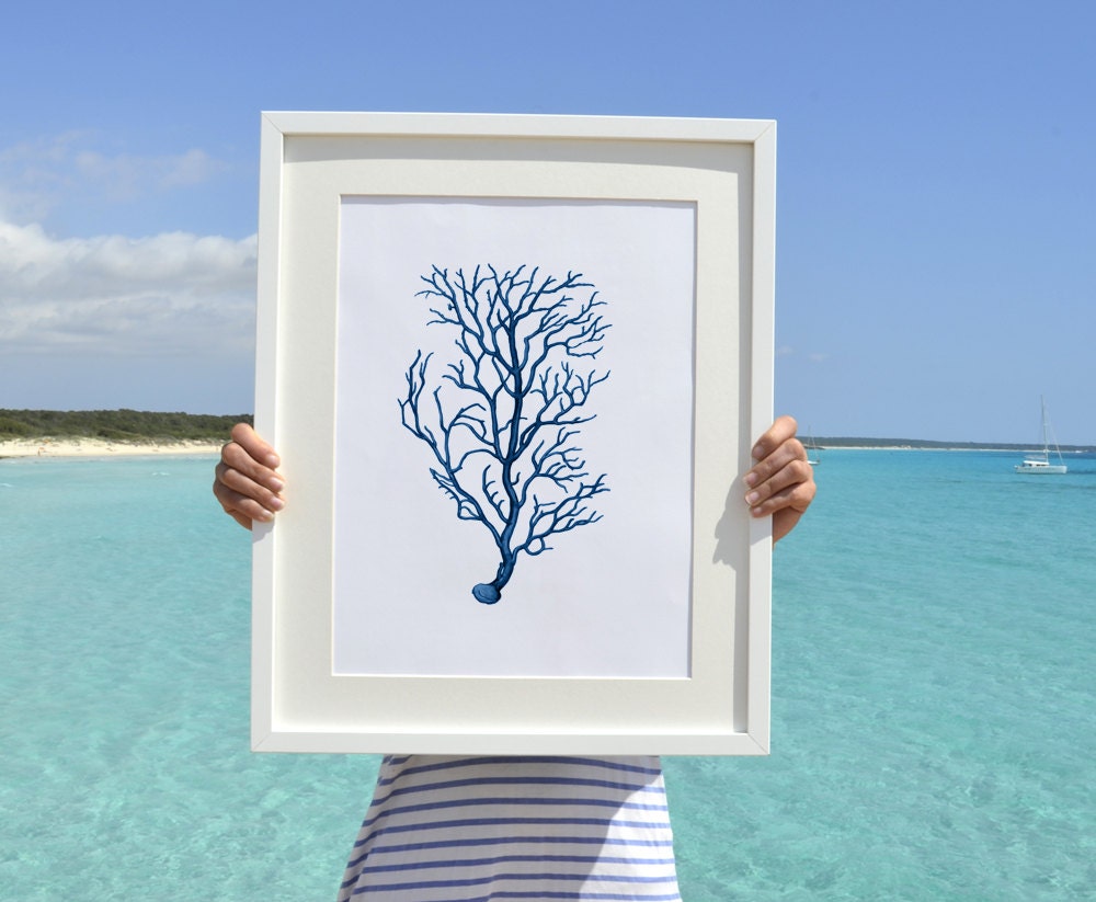 Wall decor Poster A3 Plus size  Blue branched coral Antique sealife Illustration -A3 Marine Poster - sea life poster