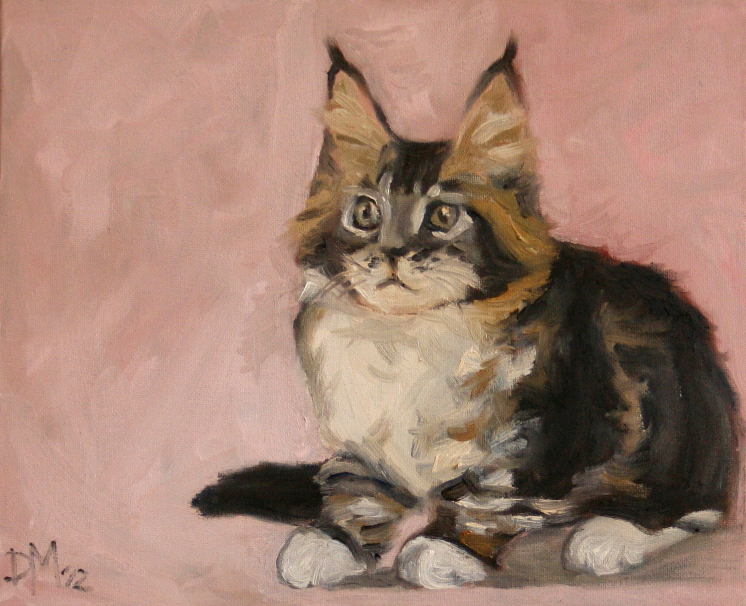 Kitten Kitty Cat Maine Coon Original Painting Fine Art Oil  Pink Pastel Animal Portrait