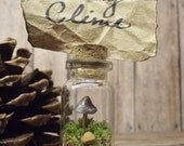 50 Miniature Terrarium Wedding Favor or Place Card Holder, Live Moss Raku Fired Glow in the Dark Ceramic Mushroom - Handmade By Gypsy Raku