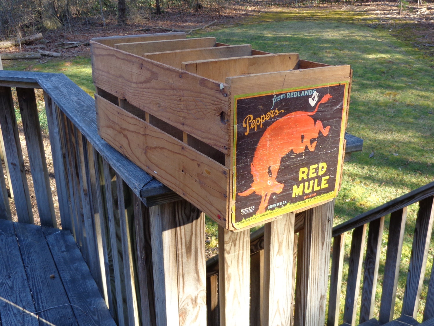1926 Red Mule Original Crate Redlands Peppers, Western Fruit Growers, Inc, Industrial USA Brand Growers Box, California, Epsteam Exclusive