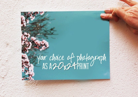 20x24 Any Photograph - Large Photography Print, Your Choice of Photograph and Finish - Home Decor, Wall Art