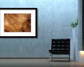 Beautiful piece of  Wood Photography, Nature Abstract Photography,  Home Decor, Wall Decor, Decor