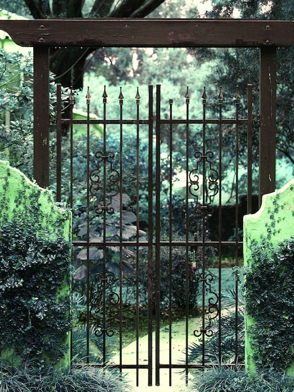 Garden Photography, Fine Art Photo, Gate, Cottage Chic, Bungalow, Green, Black, Art Print