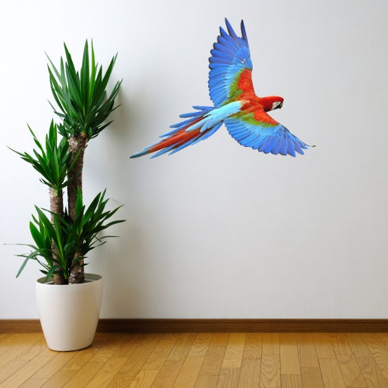 Life Size Macaw in Flight Wall Decal