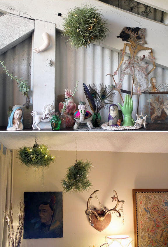 sparkle light  // air plant // by robincharlotte