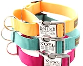 Buckle Martingale Dog Collar - Personalized with 18 Webbing Colors to Choose From