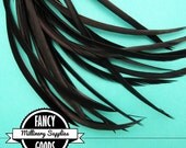 SALE - 20 - Black - Goose - Biot - Feathers