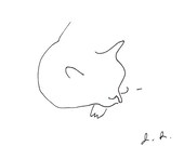 Cat Nap- Ink Drawing