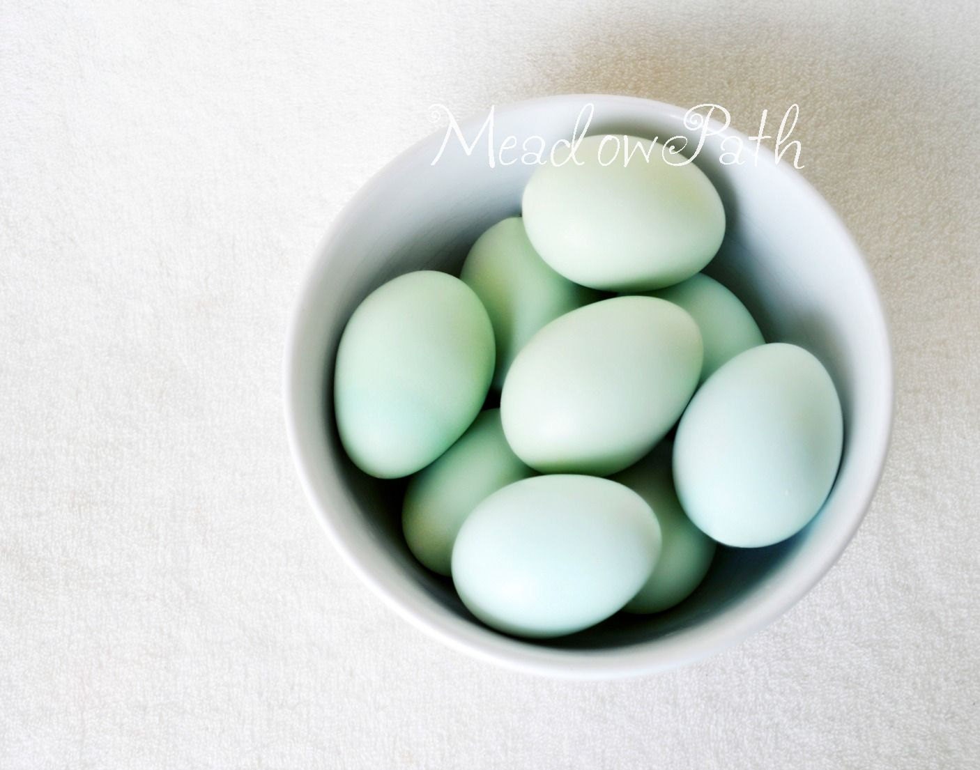 Kitchen Art, Blue Eggs, White Ceramic Bowl, Still Life, 11x14, 'Love Sincere'