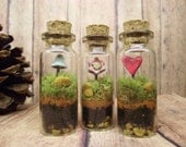 Sweet Set of Three Live Miniature Terrariums With Raku Fired Heart, Flower, and Glow in the Dark Mushroom - Handmade by Gypsy Raku