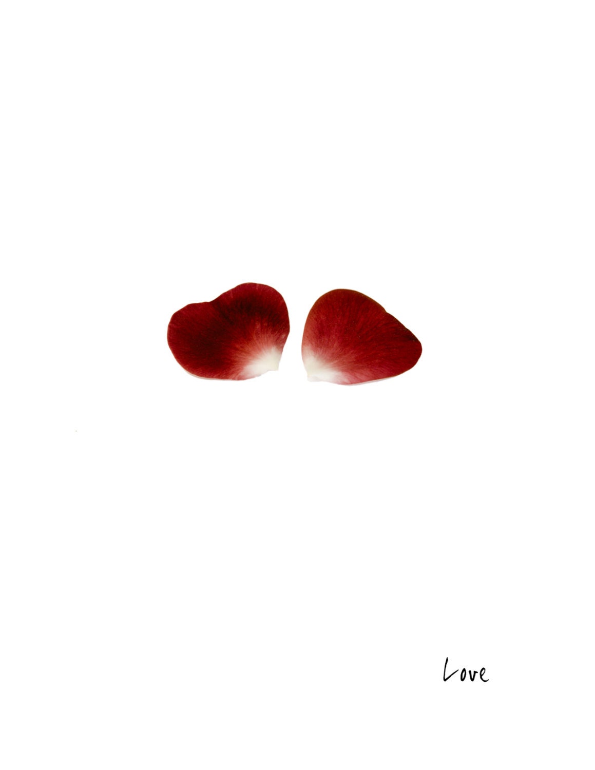 Heart-Shaped Rose Petals Greeting Card