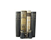 GERMAN   Decorative Books, Book Collection, Fathers day Beige Gray, Book Decor, Home Decor,  Interior Design, PHoto prop, beige tan black