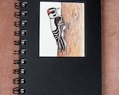 Pocket Journal - Downy Woodpecker Recycled Spiral Bound Journal, Lined for the Writer or Unlined Artist Sketchbook