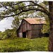 3SistersCountryStore