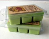 FRESH CUT GRASS Breakaway Bar Candle Tart Melt 3.2 Ounce