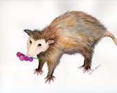 Possum with grapes Painting Watercolor Painting, Opossum Art, Original
