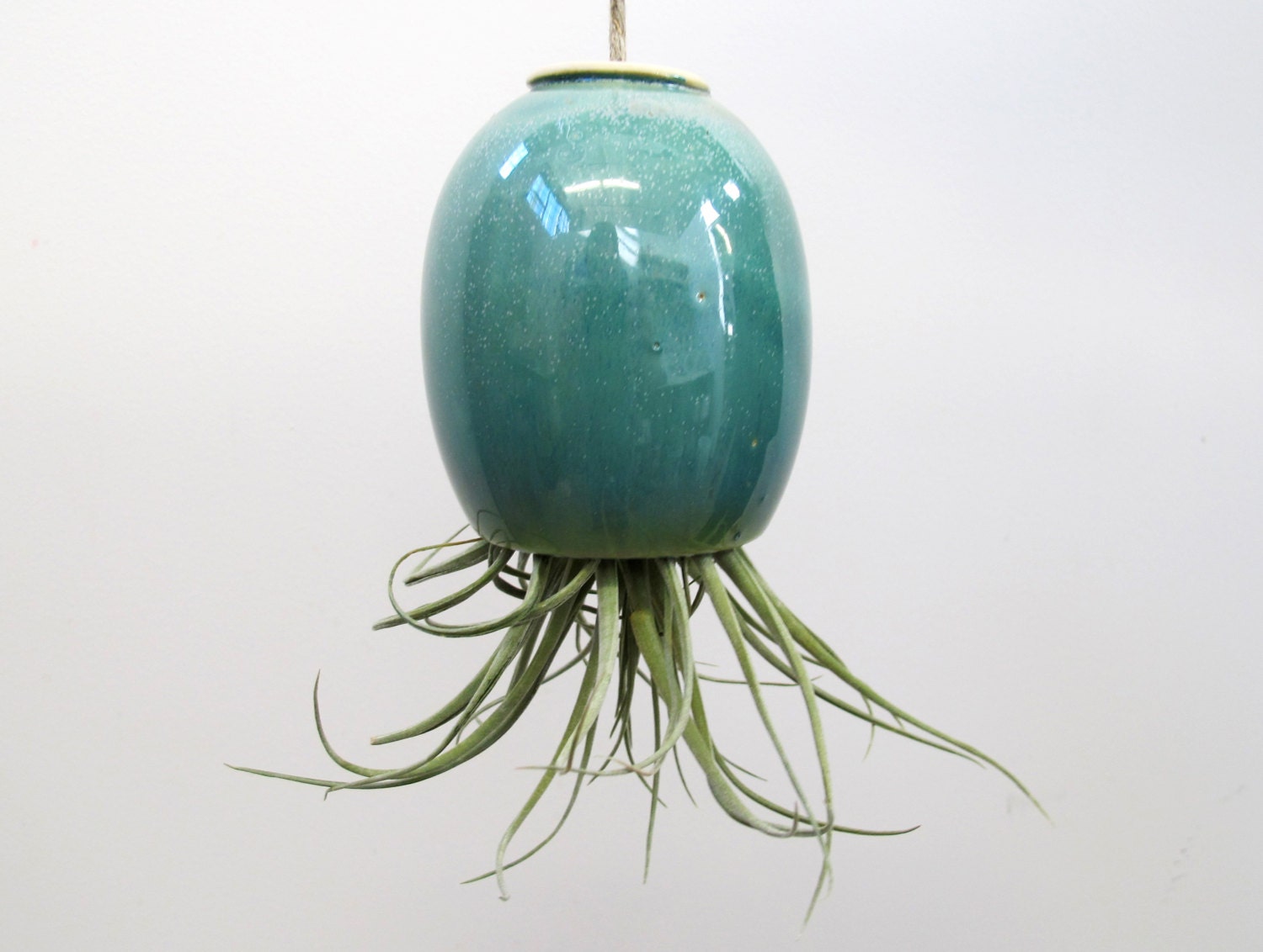 Large Hanging AirPlant Pod planter (tm) - Stunning Blue Green