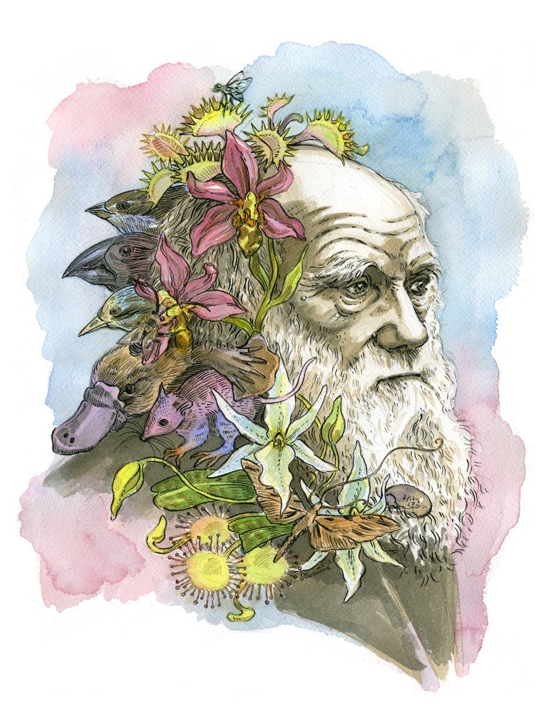 Charles Darwin II portrait print- small