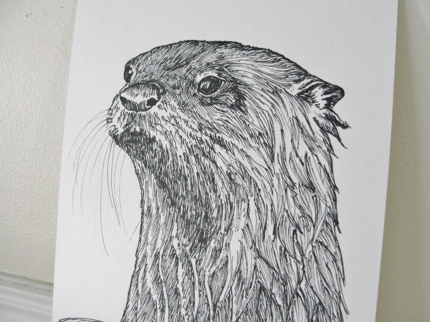 Animal Art River Otter Drawing Original Nature Art Ink Drawing Otter Wildlife Art Black and White Animal Illustration 5 x 8