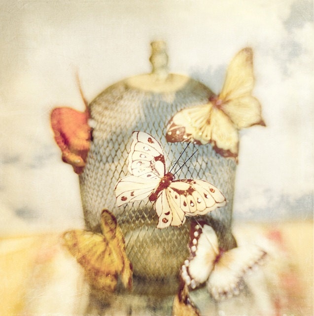 Fine Art Photography Whimsical Butterfly Birdcage 8x8 Print Modern Wall Decor Home Decor