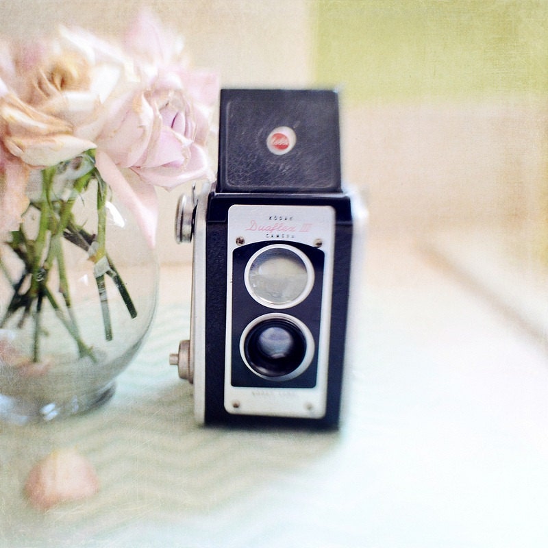 Fine Art Photography Vintage Camera and Dried Roses 8x8