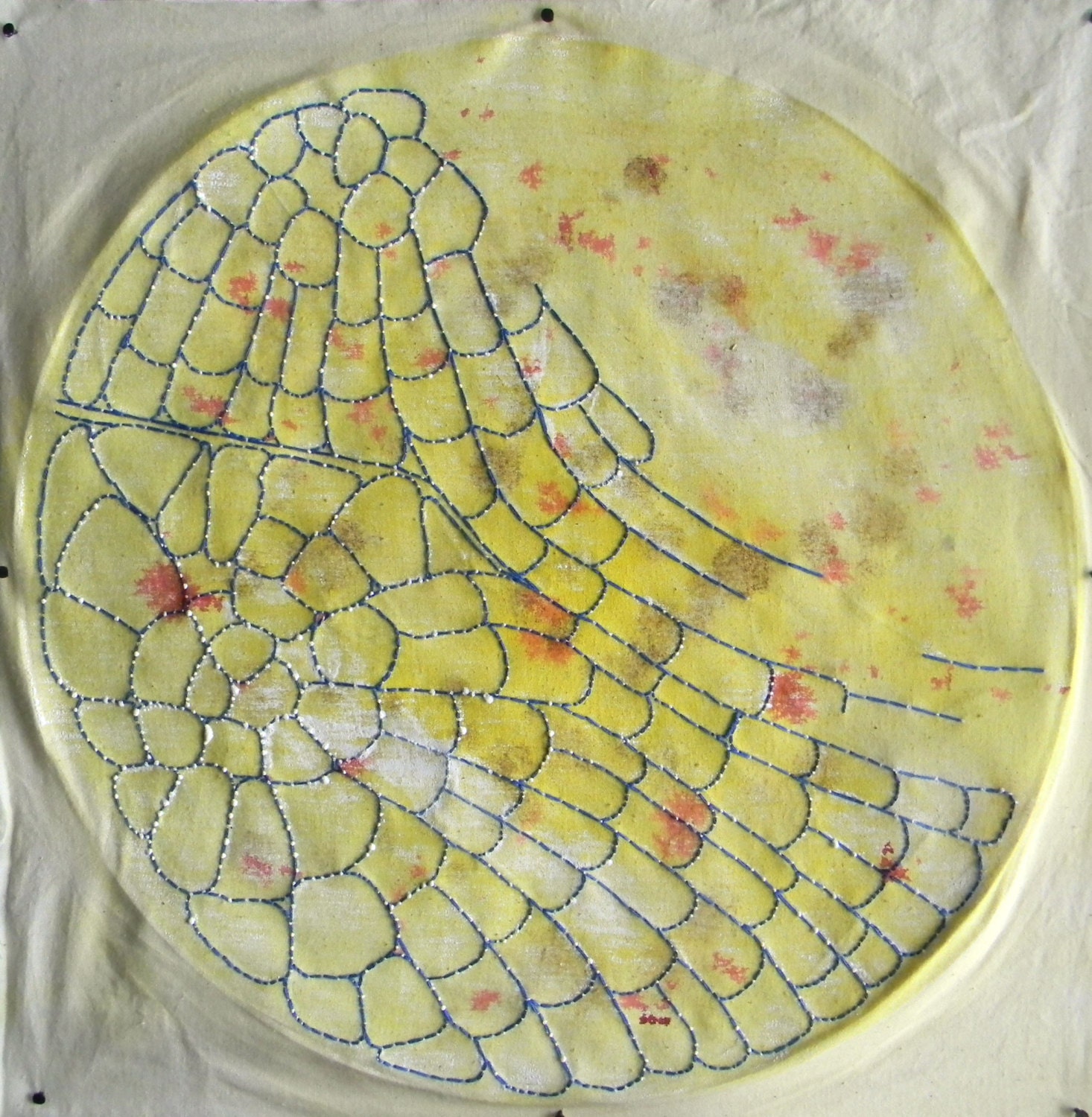 Cell Structure