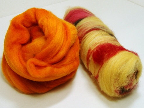 May 2013 Fiber Club Michigan All Sorts Polworth Top and Mixed Fiber and Color Batt Super Fun