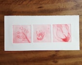 flora in triptych (original etching)