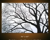 Amy Giacomelli Paintings Original Extra Large Abstract Contemporary Trees ... 36" x 60" ... "Tree Silhouettes", Free US shipping