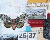 Moth Original Mixed Media Art Collage - We Miss You