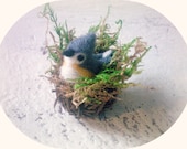 Mini Felted Titmouse In Nest
