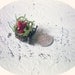 Micro Mini Felted Cardinal In Nest