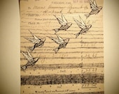 Original Drawing - Flying Fish