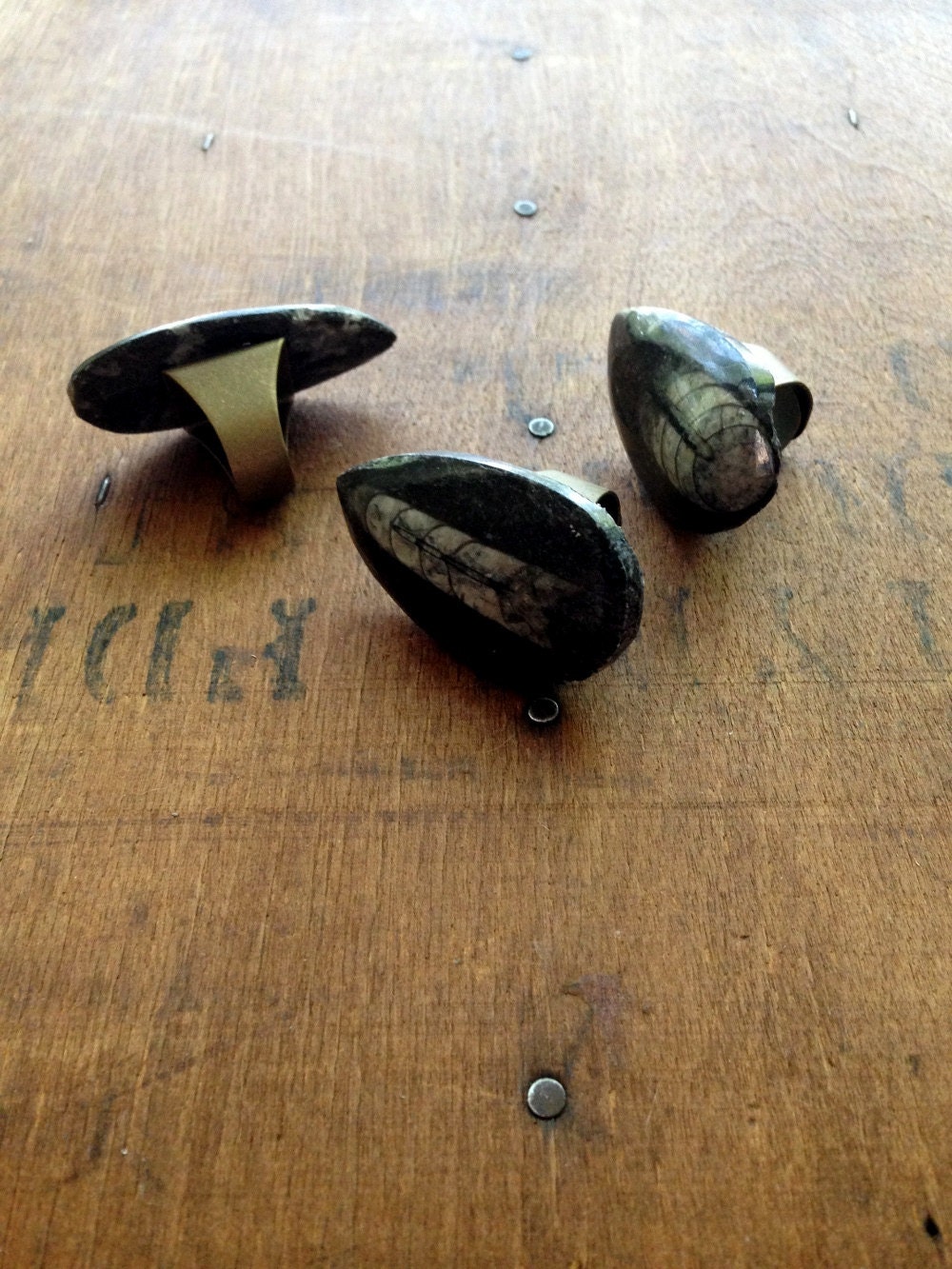 Orthoceras Ring