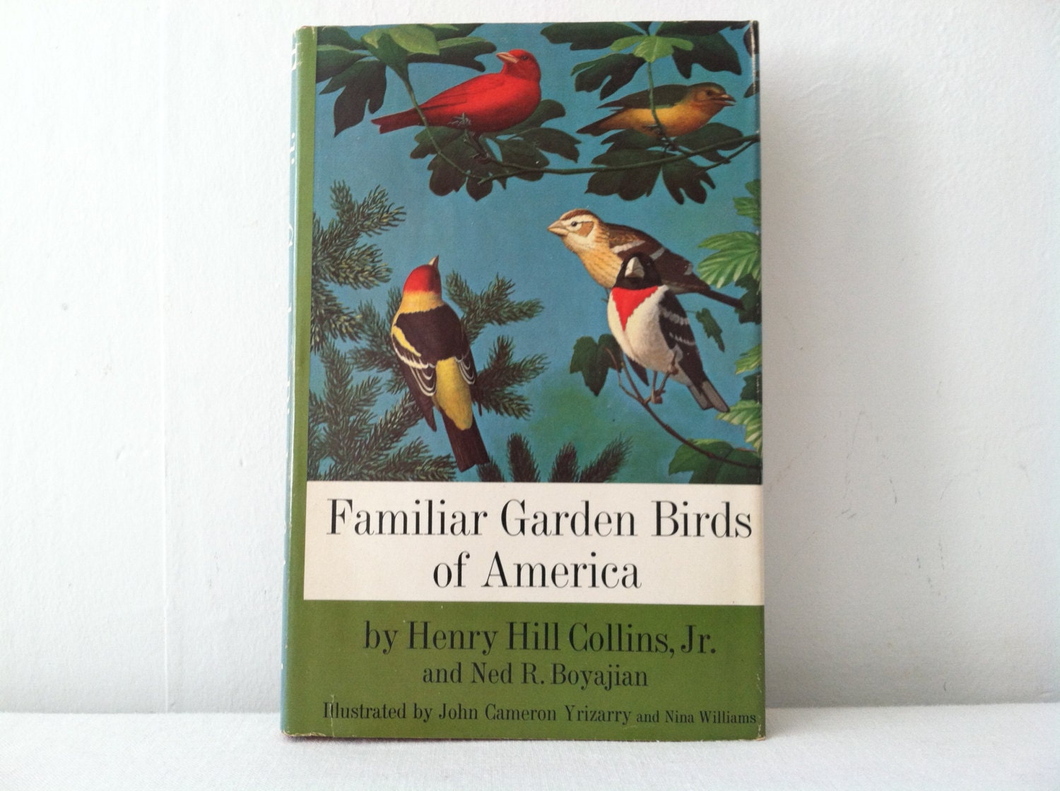 Familiar Garden Birds of America