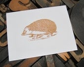 Set of Six Hedgehog Note Cards - Gocco Printed