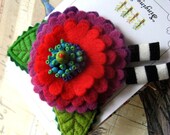 My Flowers Wearing Funny Tights :)