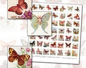 Antique Butterfly & Moth Digital Collage Sheet 1x1 inchies 25.4mm 25mm square