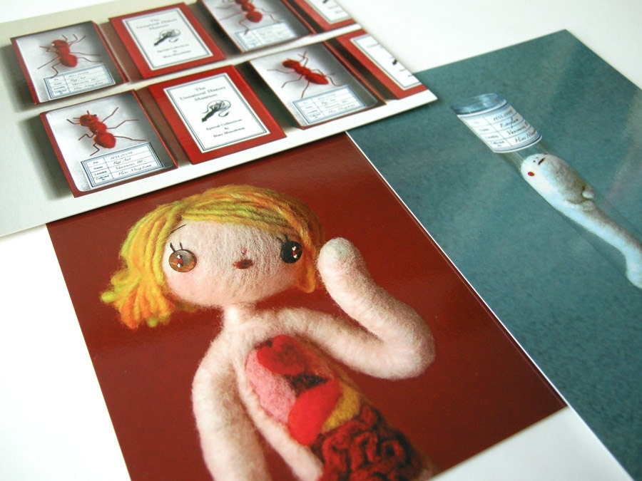 Postcard Set -Unnatural History Museum collection (with free stickers)