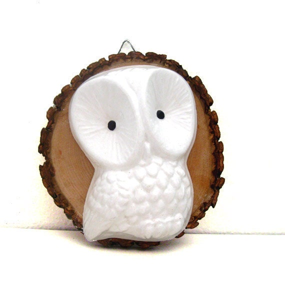 Handmade Chalkware White Owl Wall Hanging on Wood Slice - Wall Decor