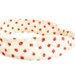 Strawberry Shortcake - Fabric Headband Red Cream Green