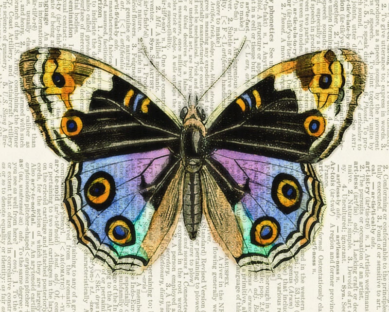 butterfly - vintage butterfly with gorgeous colors printed on page from old dictionary