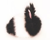 Oscar Black and White Stuffed Toy Bunny Faux Fur Plushie Large Size