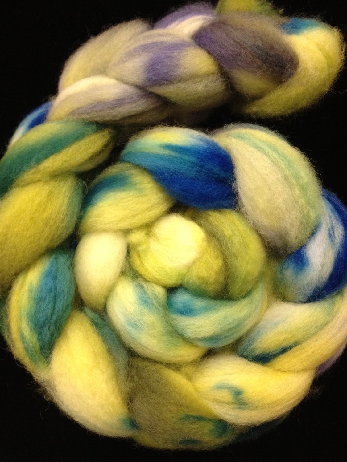 Algae Bloom Hand-Dyed Superwash BFL Top 4.4 oz.